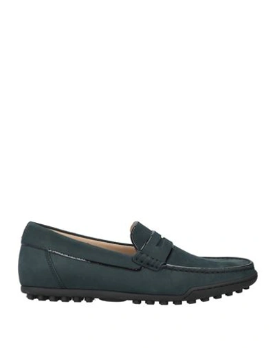 Shop Calò Man Loafers Midnight Blue Size 6 Soft Leather