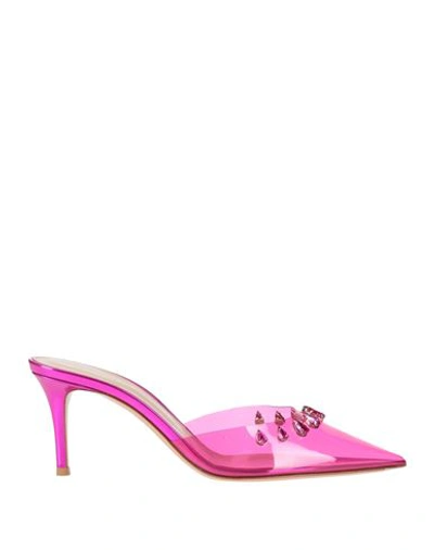 Shop Gianvito Rossi Woman Mules & Clogs Fuchsia Size 8 Rubber In Pink