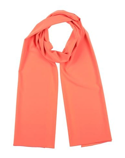Tassos Mitropoulos Woman Scarf Salmon Pink Size - Polyester, Elastane In Pink