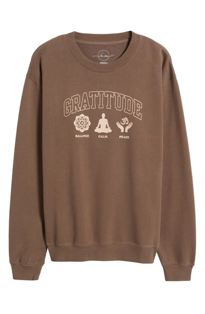 Shop Hi Res Gratitude Icons Pullover Sweatshirt In Washed Brown