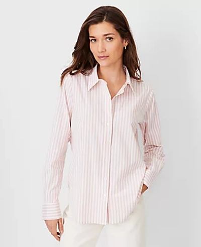 Shop Ann Taylor At Weekend Stripe Relaxed Perfect Shirt In Pink Gem