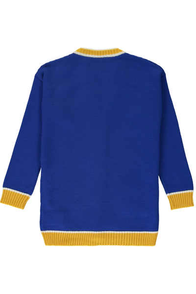Off-white Virgin Wool Cardigan In Blue