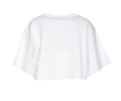 Shop Dolce & Gabbana T-shirts And Polos In Bianco