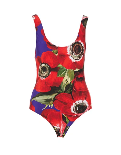 Shop Dolce & Gabbana Sea Clothing In Multicolour
