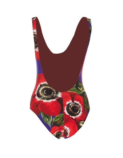 Shop Dolce & Gabbana Sea Clothing In Multicolour