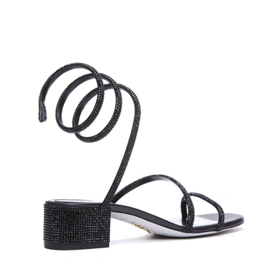 Shop René Caovilla Sandals In Black