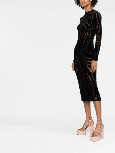Shop Versace Black Zebra Velvet Midi Dress