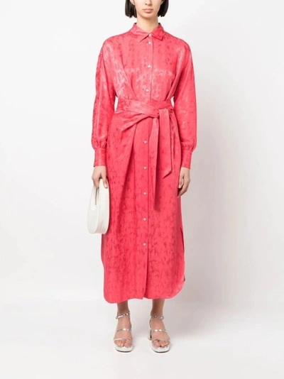 Shop Msgm Red Jacquard Midi Dress In Burgundy
