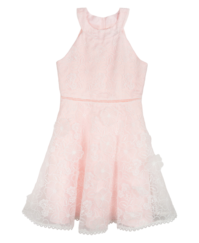 Shop Rare Editions Big Girls Pink 3d Floral Organza Social Dress In Blush