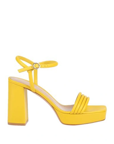 Shop Gianvito Rossi Woman Sandals Yellow Size 7.5 Soft Leather