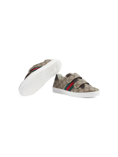 Shop Gucci Sneaker Plastic In Beige Ebony Cocoa