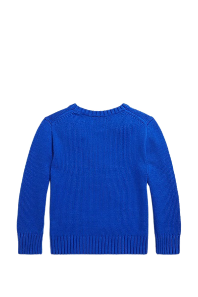 Shop Ralph Lauren Polo Bear Cotton Sweater In Light Blue