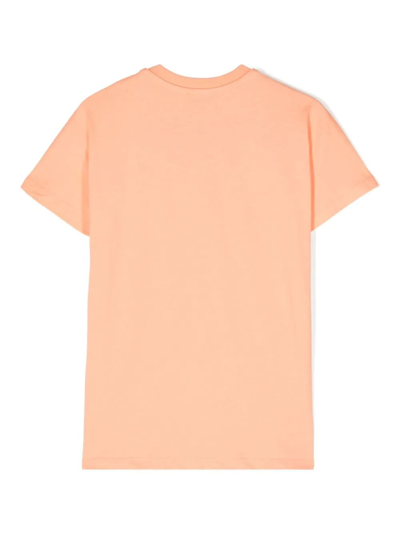 Shop Msgm T-shirt Con Logo In Orange