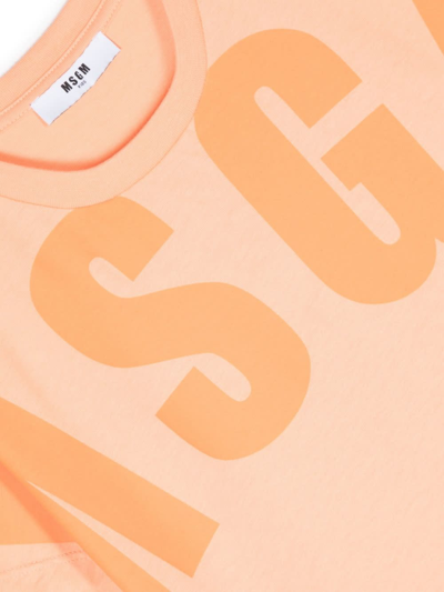 Shop Msgm T-shirt Con Logo In Orange