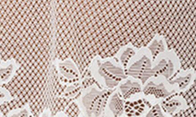 Edikted Jasmine Sheer Lace Crop Tank Top In White