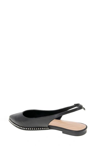 Shop Bcbgeneration Valerie Slingback Pointed Toe Flat In Black