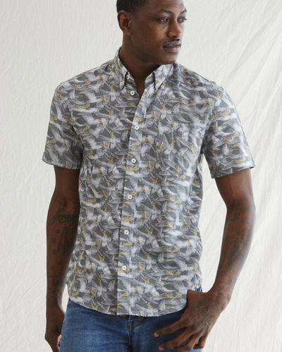 Reid S/s Pelican Sketch Shirt In Grey