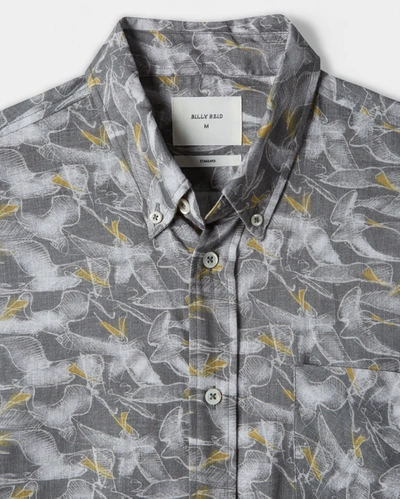 Reid S/s Pelican Sketch Shirt In Grey