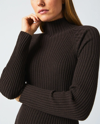Reid Turtleneck Sweater Dress In Coffee Bean