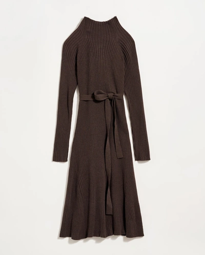 Reid Turtleneck Sweater Dress In Coffee Bean