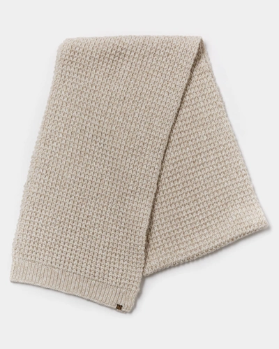 Shop Reid Wool Cashmere Scarf In Navy/brown