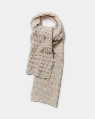 Reid Wool Cashmere Scarf In Navy/brown