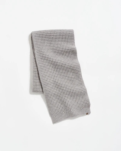 Shop Reid Wool Ribbon Scarf In Grey