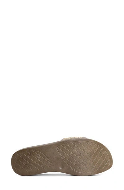 Donald Pliner Farrah Platform Sandal In Taupe-tau