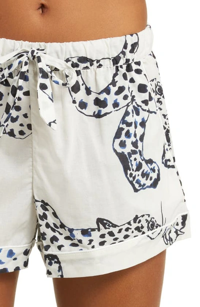 Shop Desmond & Dempsey Print Cotton Short Pajamas In Jag Cream