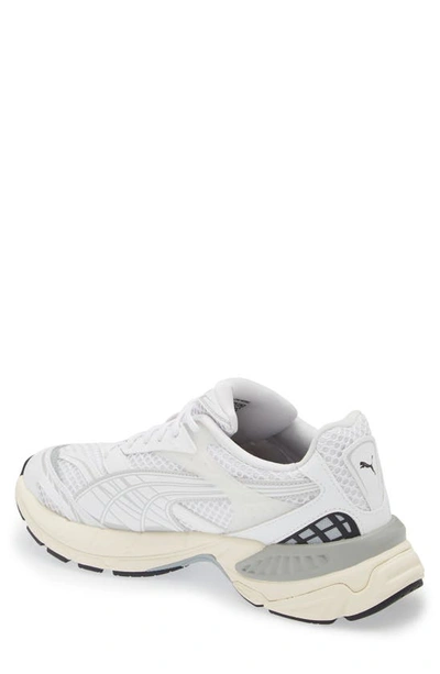 Shop Puma Velophasis Sneaker In  White-cool Mid Gray