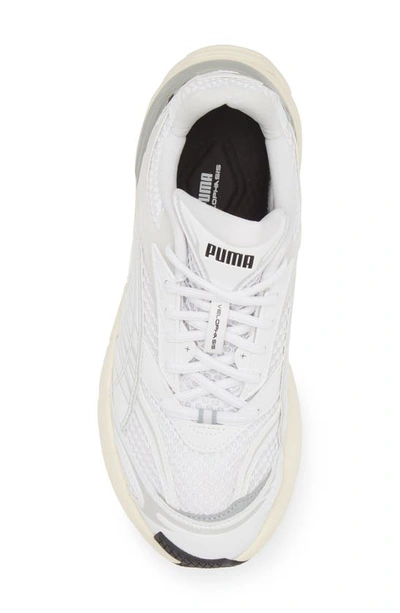 Shop Puma Velophasis Sneaker In  White-cool Mid Gray