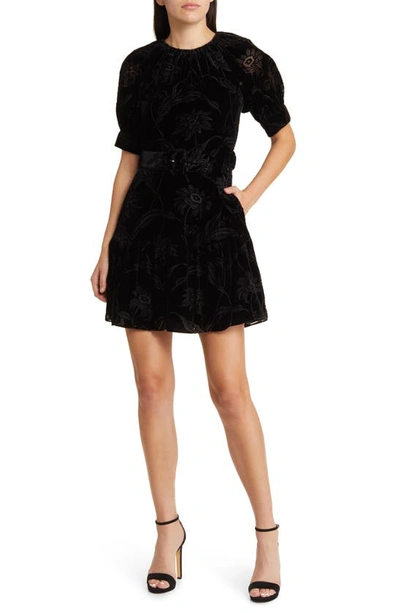 Shop Ted Baker Tilly Puff Sleeve Fit & Flare Minidress In Black