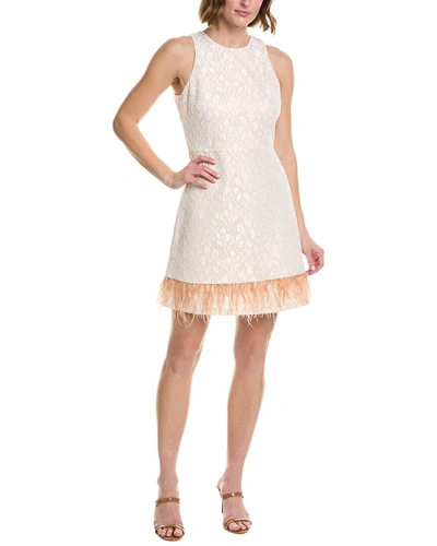 Shop Taylor Lace Shift Dress In Pink