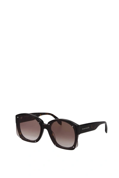 Shop Alexander Mcqueen Sunglasses Acetate Brown Brown