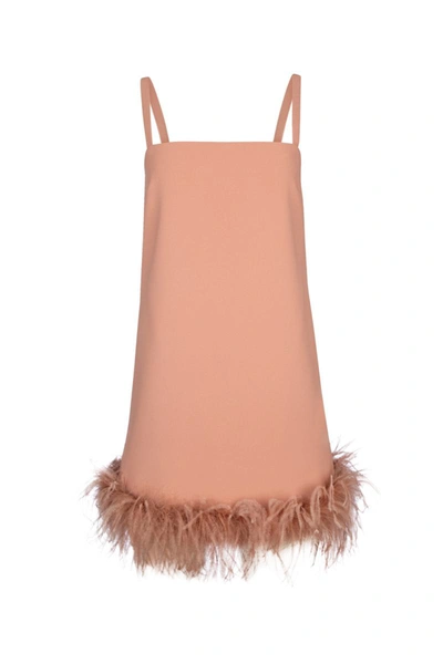 Shop Pinko Dress In Brown