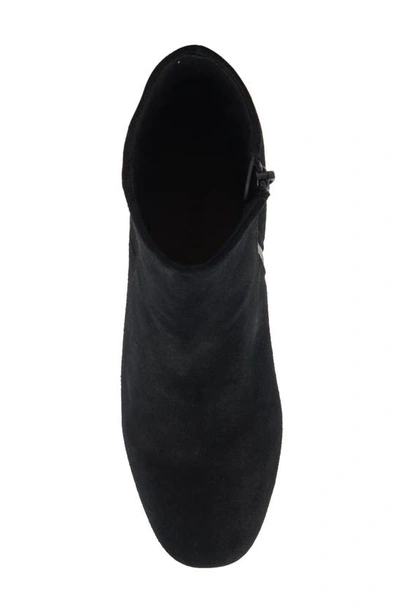 Shop Blondo Alida Waterproof Bootie In Black Suede