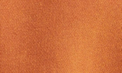 Shop Diet Starts Monday Tiger Embroidered Cotton Fleece Sweatshirt In Orange