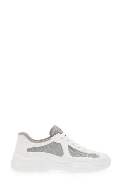 Shop Prada America's Cup Sneaker In White/ Grey