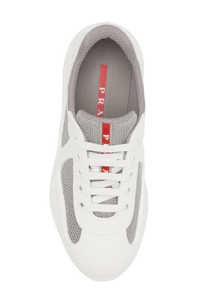 Shop Prada America's Cup Sneaker In White/ Grey