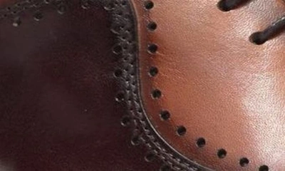 Maison Forte Dillinger Two-tone Oxford In Cognac-brown