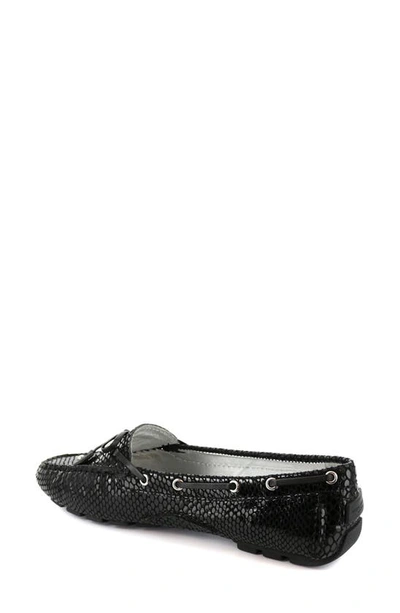 Marc Joseph New York Women's Cypress Hill Loafers In Black Snake Print Leather