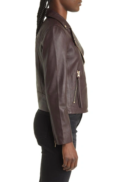 Shop Allsaints Dalby Leather Moto Jacket In Oxblood Red