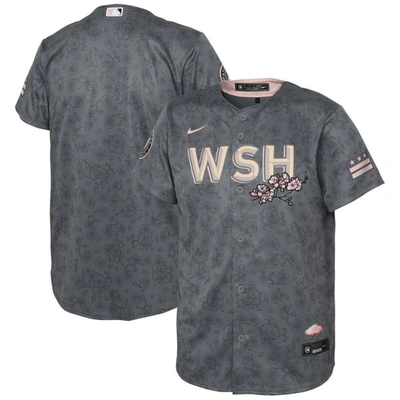 Shop Nike Youth  Gray Washington Nationals City Connect Replica Jersey