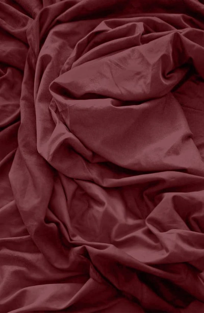 Pg Goods Pillow Gal Classic Cool & Crisp Cotton Pillow Case 2-piece Set In Plum