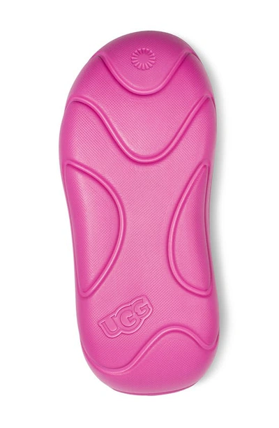 Shop Ugg ® Platform Slide Sandal In Dragon Fruit