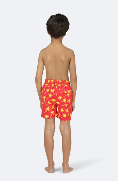 Tom & Teddy Kids' Palm Tree Print Swim Trunks In Coral & Lime