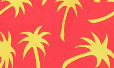 Shop Tom & Teddy Kids' Palm Tree Print Swim Trunks In Coral & Lime