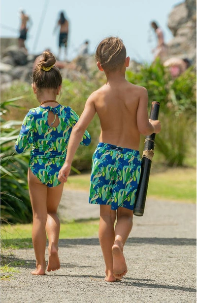 Snapper Rock Toddler, Child Toucan Jungle Sustainable Swim Short In Blue