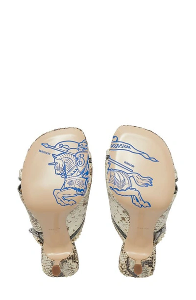 Burberry Python-embossed Zipper Mule Sandals In Serpent