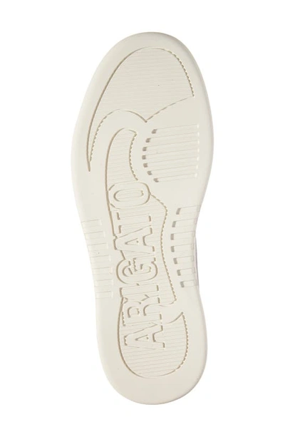 Axel Arigato Dice-a Sneaker In White / Pink